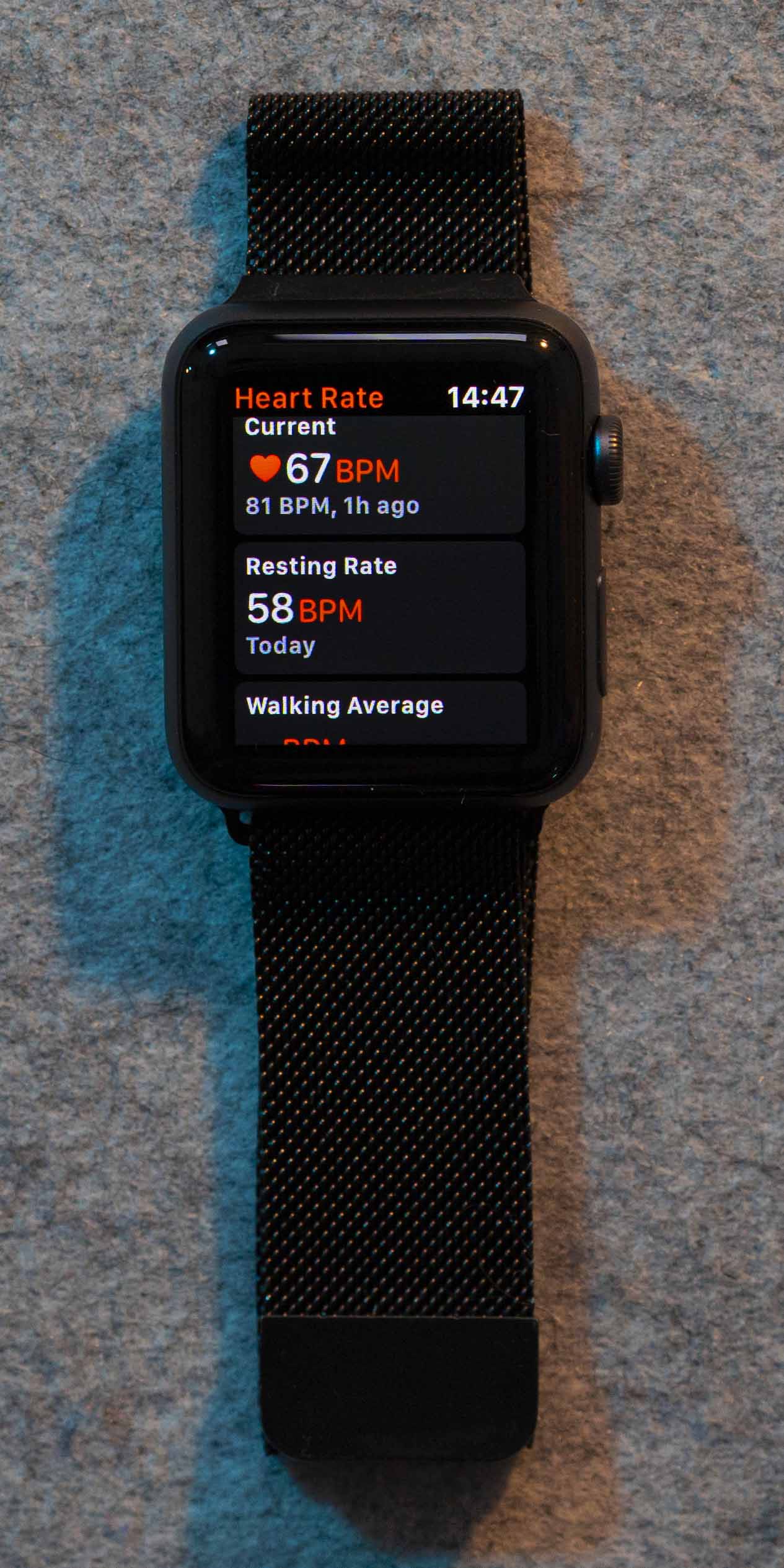 /images/blogPost/appleWatch/heartrate.jpg